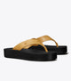 Ginger Shortbread / Black