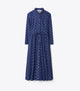 Blue Paisley
