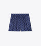 Blue Paisley