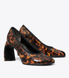 Tortoiseshell