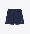 Tory Navy